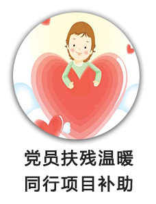 党员扶残温暖同行项目补助