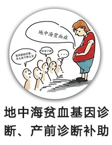 地中海贫血基因诊断、产前诊断补助