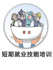 短期就业技能培训