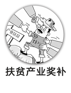 扶贫产业奖补