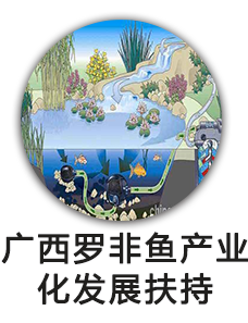 广西罗非鱼产业化发展扶持