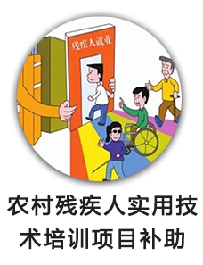 农村残疾人实用技术培训项目补助