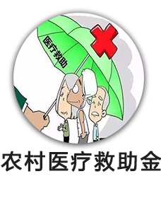 农村医疗救助金