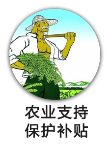 农业支持保护补贴
