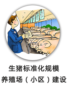 生猪标准化规模养殖场（小区）建设