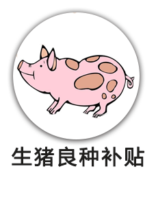 生猪良种补贴