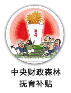 中央财政森林抚育补贴