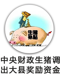 中央财政生猪调出大县奖励资金
